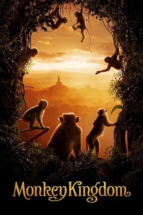 Movie poster for Monkey Kingdom (2015)