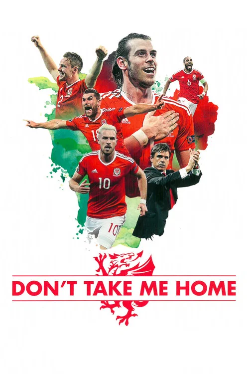 Movie poster for Don't Take Me Home (2017)