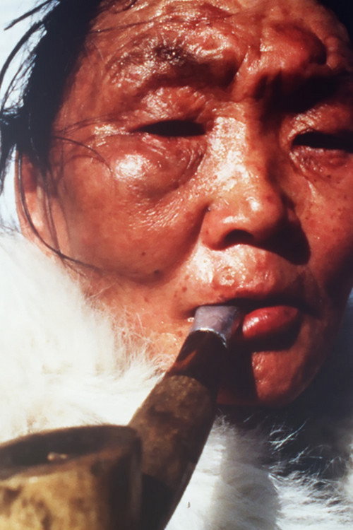 Movie poster for Anna (1997)