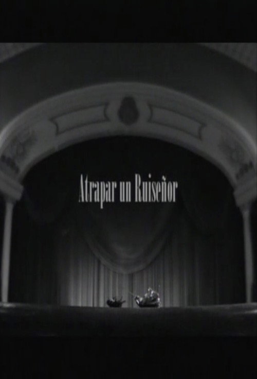 Movie poster for Atrapar un ruiseñor (2005)