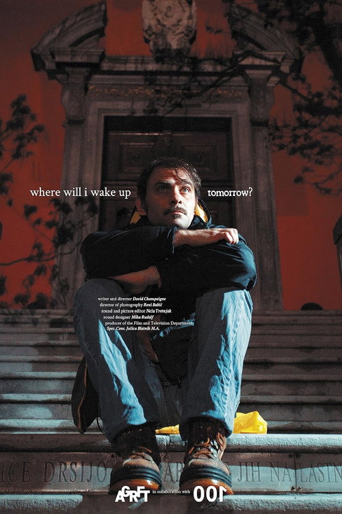 Movie poster for Where Will I Wake Up Tomorrow? (2021)