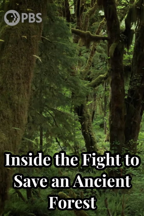 Movie poster for Inside the Fight to Save an Ancient Forest (and the Secrets it Holds) (2021)