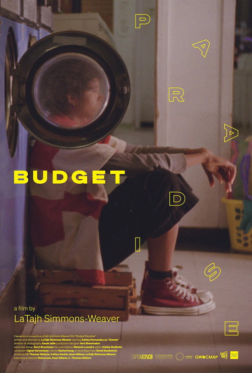 Movie poster for Budget Paradise (2025)