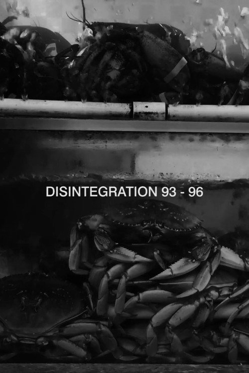 Movie poster for Disintegration 93-96 (2017)
