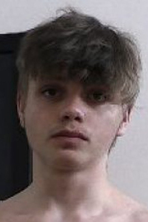 Photo of Bogdan Fox, Acting