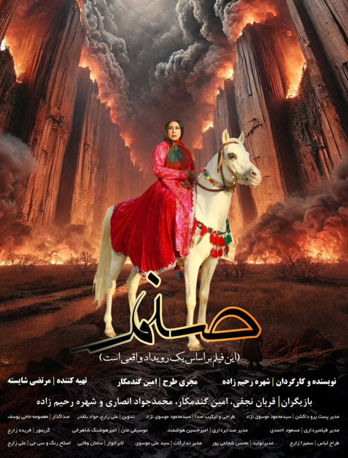 Movie poster for Sanam (2025)
