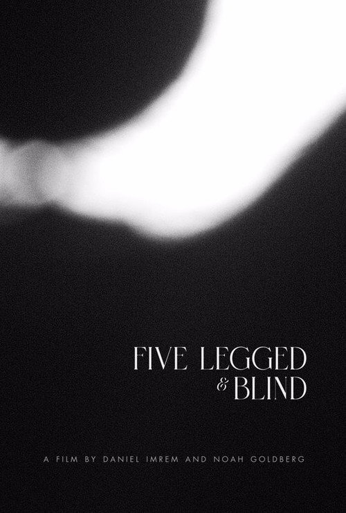 Movie poster for Five Legged & Blind (2023)