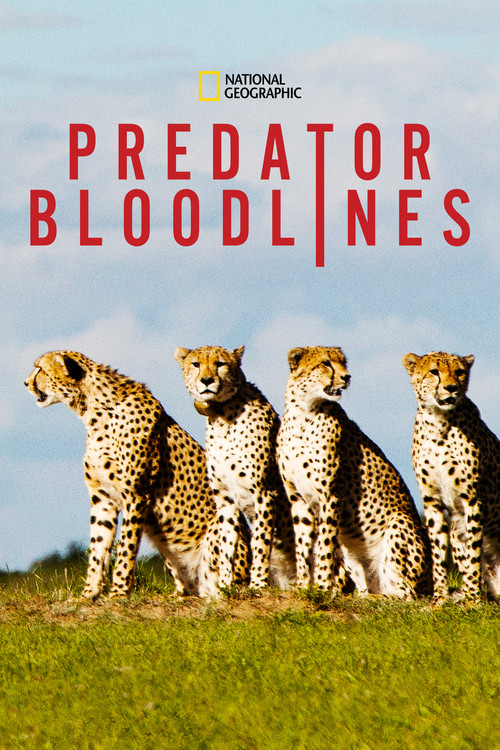 Series poster for Predator Bloodlines (2020)