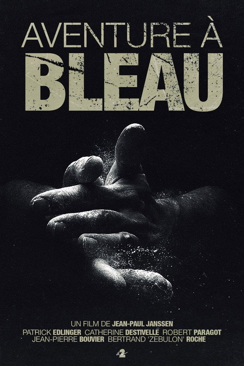 Movie poster for Aventure à Bleau (1980)
