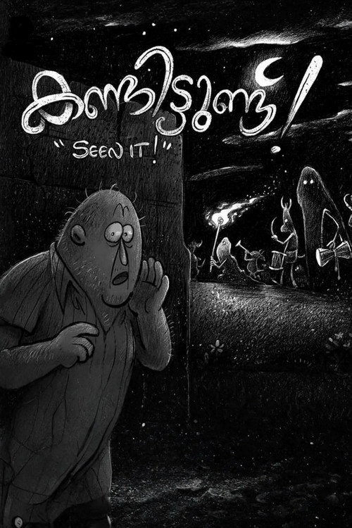 Movie poster for Seen It! (2021)