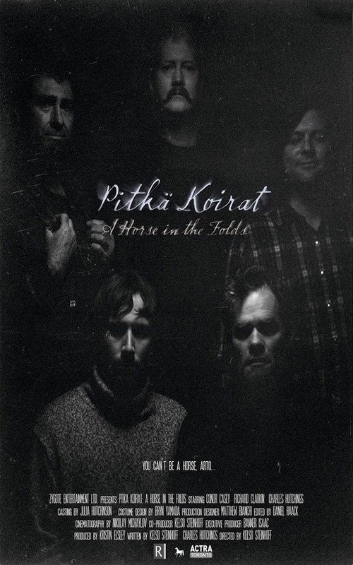 Movie poster for Pitka Koirat: A Horse in the Folds (2014)