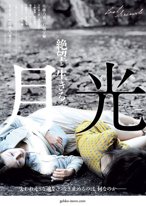 Movie poster for Lost Serenade (2016)