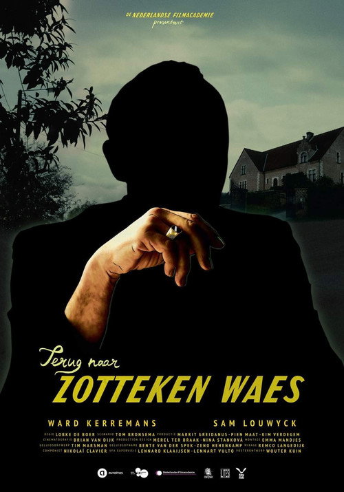 Movie poster for Terug naar Zotteken Waes (2020)