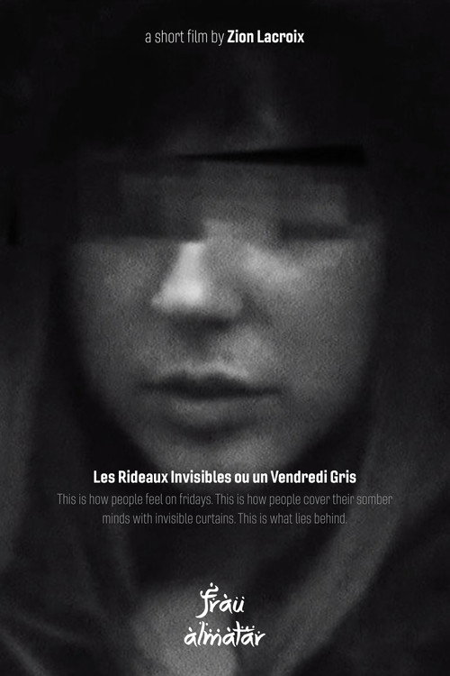 Movie poster for The Invisible Curtains or a Gray Friday