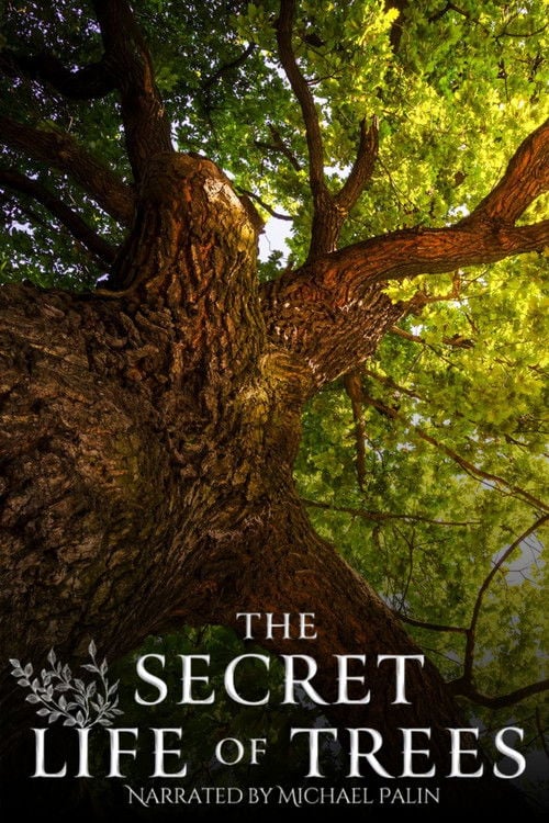 Series poster for The Secret Life of Trees (2025)