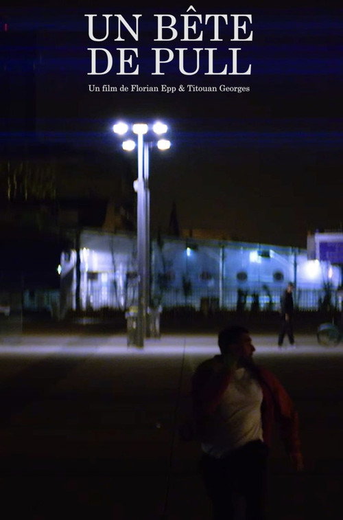 Movie poster for Un Bête de Pull (2023)