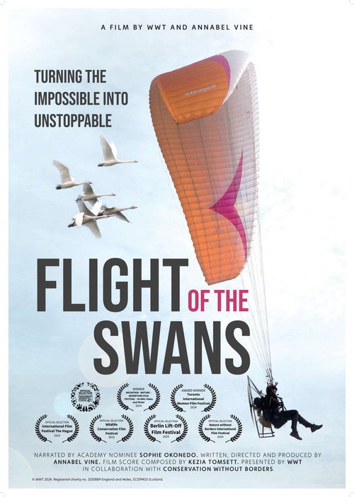 Movie poster for Flight of the Swans (2024)