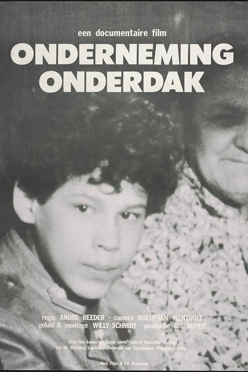 Movie poster for The Price of Shelter