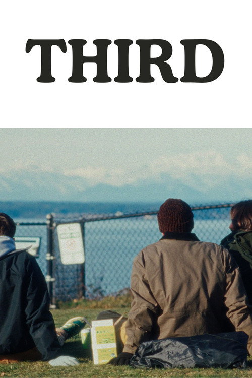 Movie poster for Third (2024)