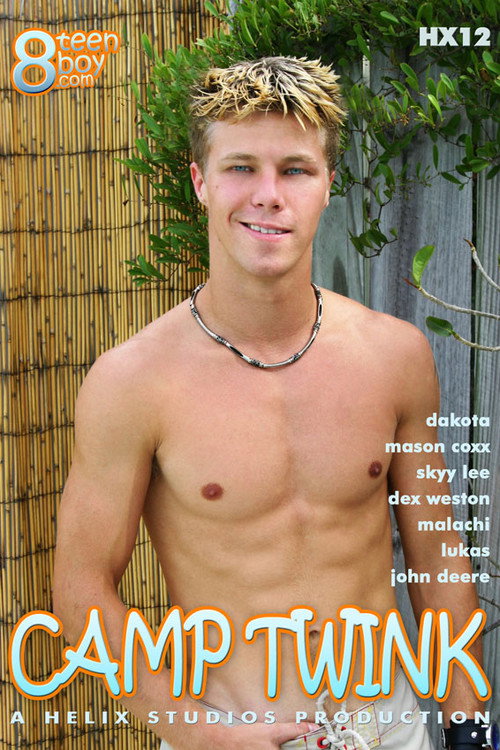 Movie poster for Camp Twink (2005)