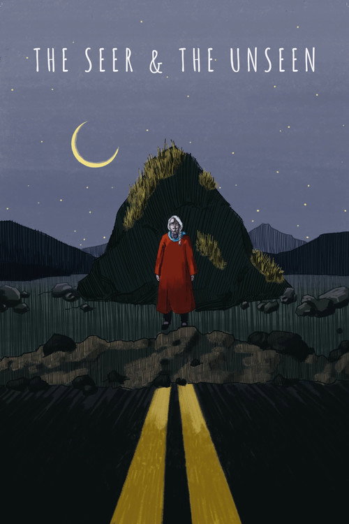 Movie poster for The Seer and the Unseen (2019)