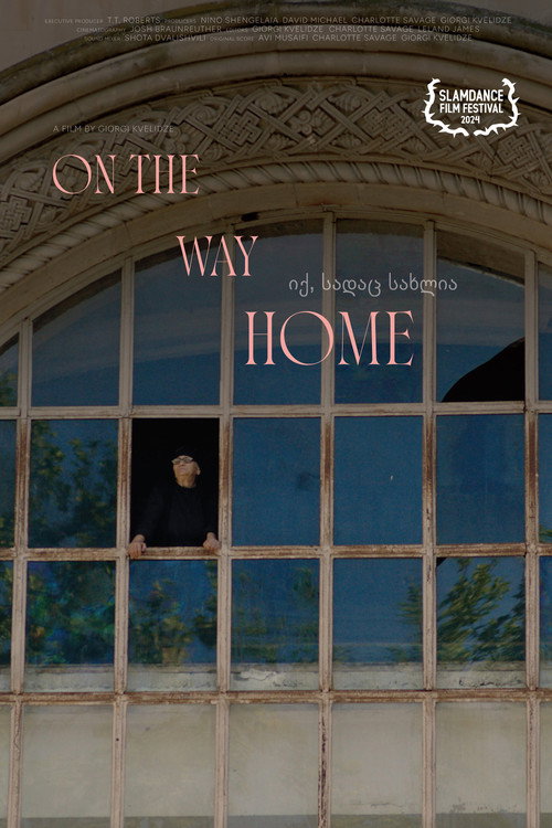 Movie poster for On the Way Home (2024)