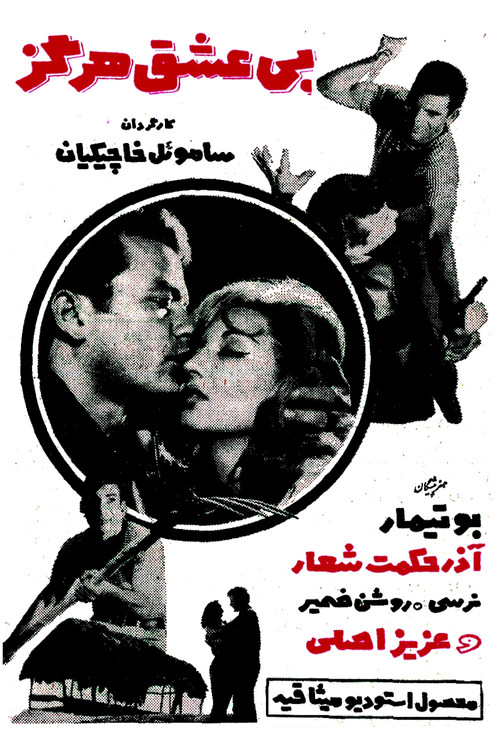 Movie poster for Never Without Love (1966)