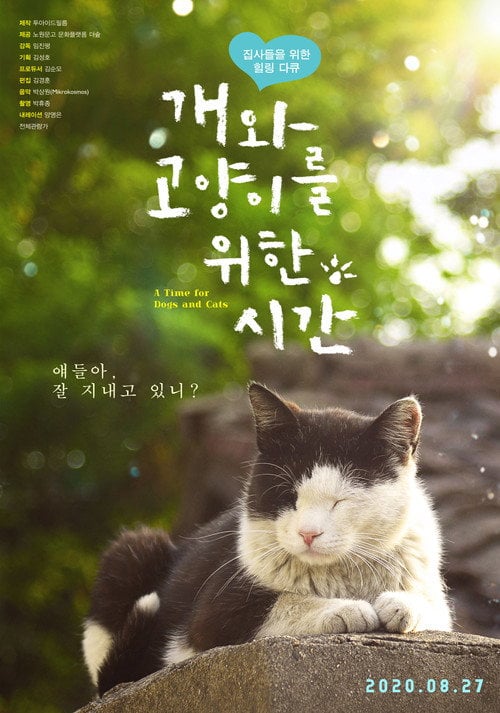 Movie poster for A Time for Dogs and Cats (2020)