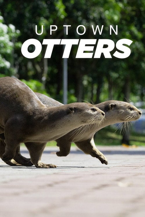 Series poster for Uptown Otters (2022)