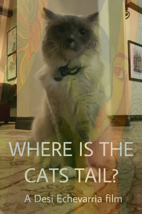 Movie poster for Where Is The Cat's Tail? (2026)