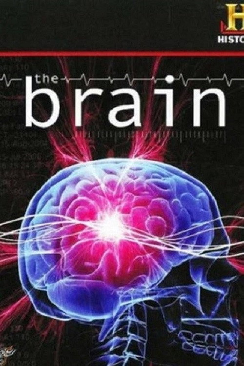 Movie poster for The Brain (2008)