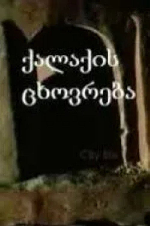 Movie poster for City Life (1988)