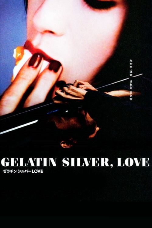 Movie poster for Gelatin Silver, Love (2009)