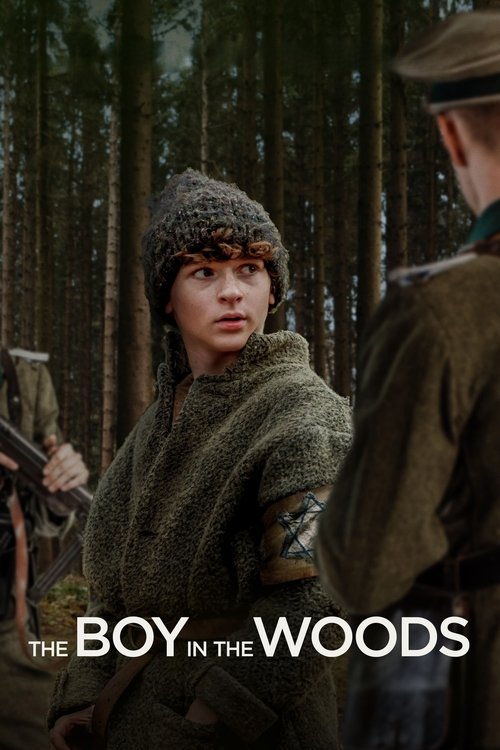 Movie poster for The Boy in the Woods (2023)