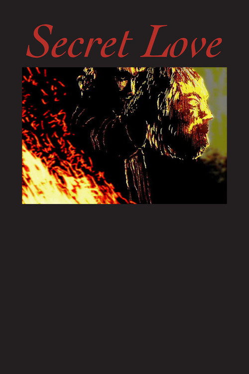 Movie poster for Secret Love (2003)