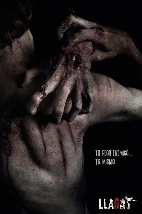 Movie poster for Llagas (2012)