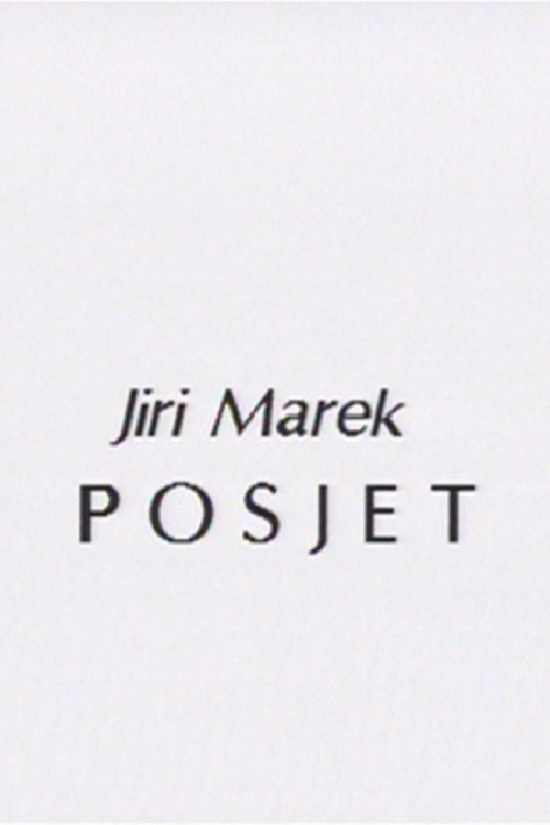 Movie poster for A Visit (1986)