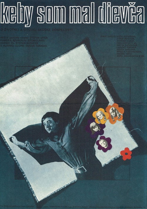 Movie poster for If I Had a Girl (1976)