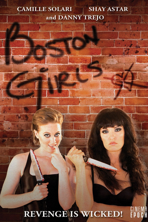 Movie poster for Boston Girls (2010)