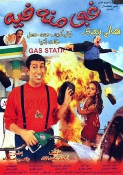 Movie poster for A Natural Born Fool (2004)