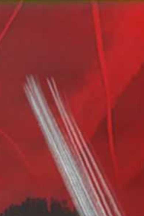 Movie poster for Chemtrails: An Investigative Report (2008)