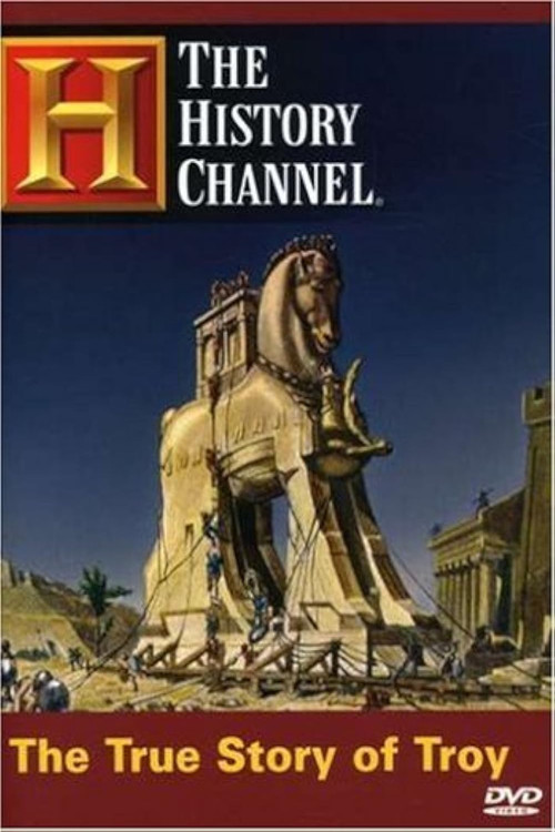 Movie poster for The True Story of Troy: Ancient War (2004)