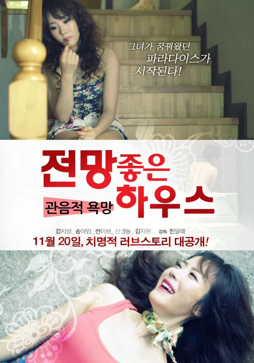 Movie poster for House With a Good View: Voyeuristic Desire (2013)