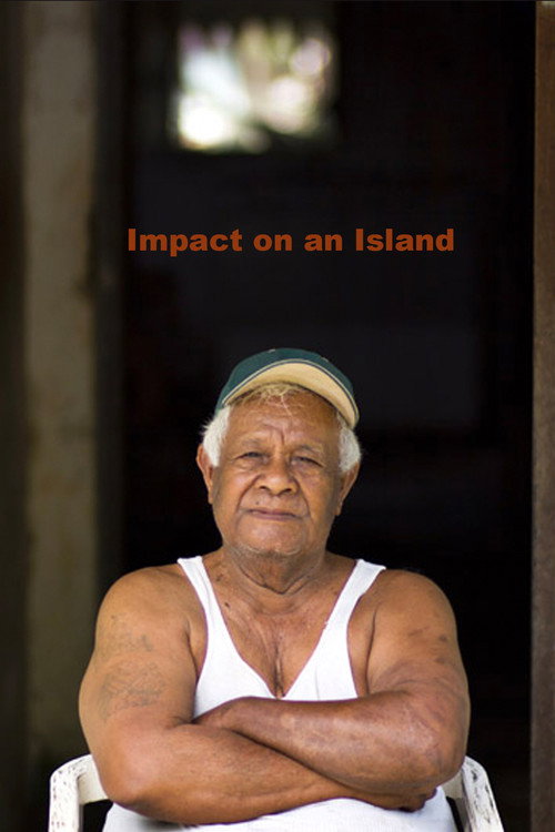Movie poster for Impact on an Island (2011)