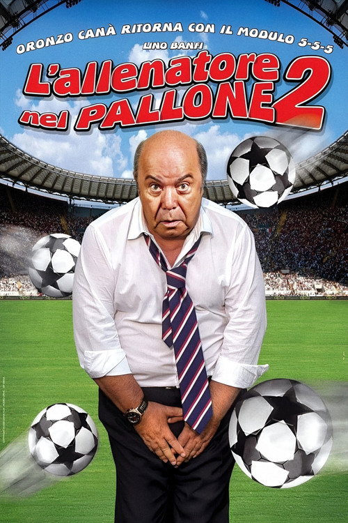 Movie poster for L'allenatore nel pallone 2 (2008)