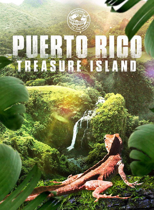 Movie poster for Puerto Rico: Treasure Island (2019)
