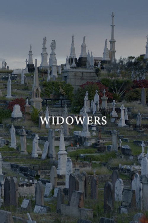 Movie poster for Widowers (2020)