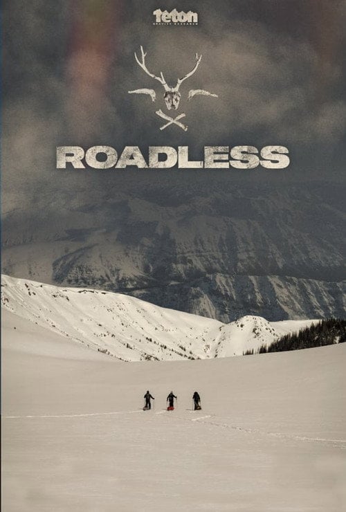 Movie poster for Roadless (2019)