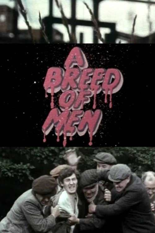 Movie poster for A Breed of Men (1971)