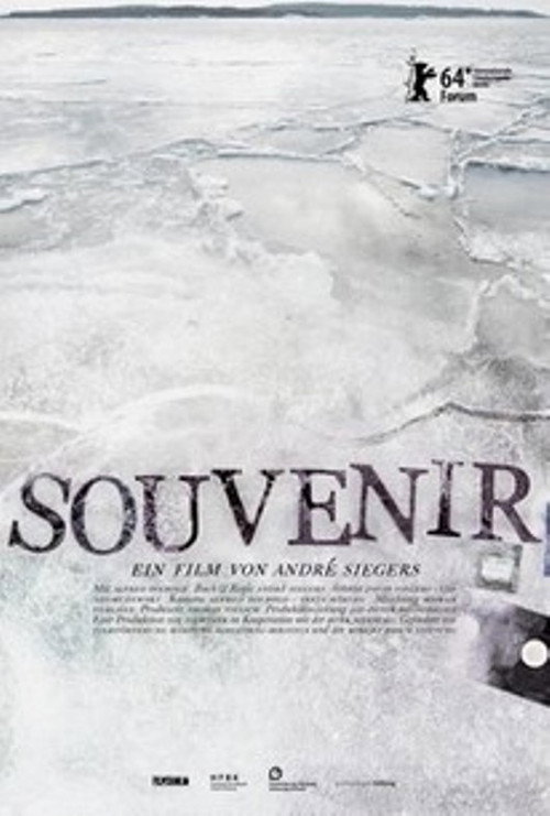 Movie poster for Souvenir (2014)